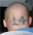 14-numeric